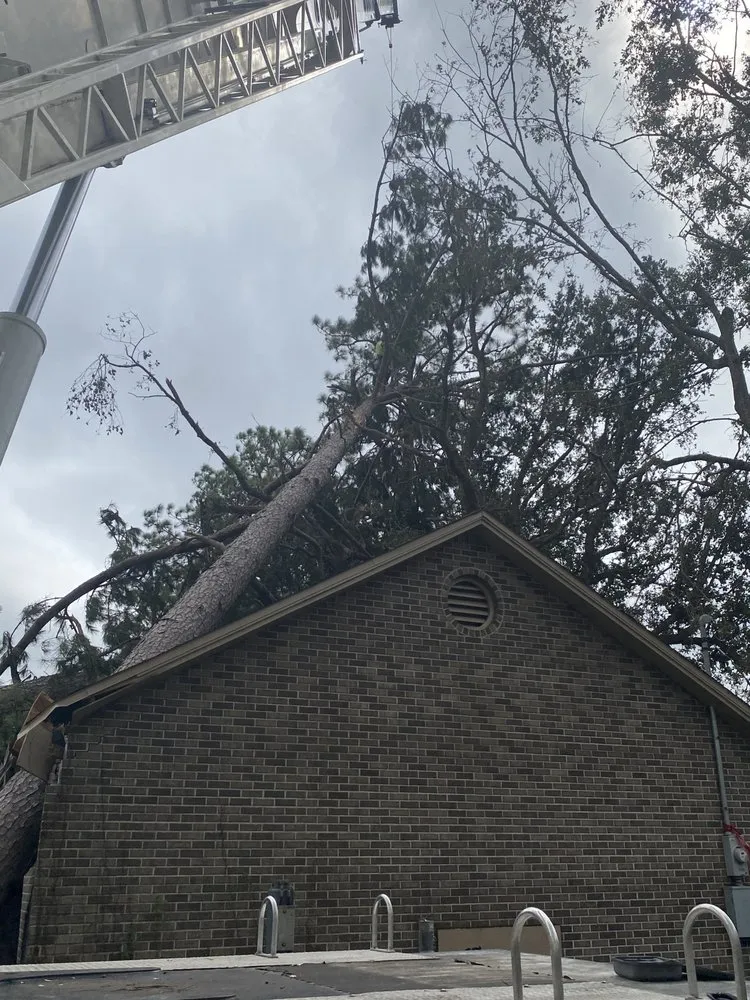 Expert outdoor landscaping in Venice, FL by 941 Home Services