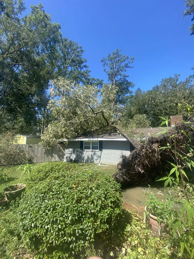 Local lawn care service with custom design across Venice, FL - 941 Home Services