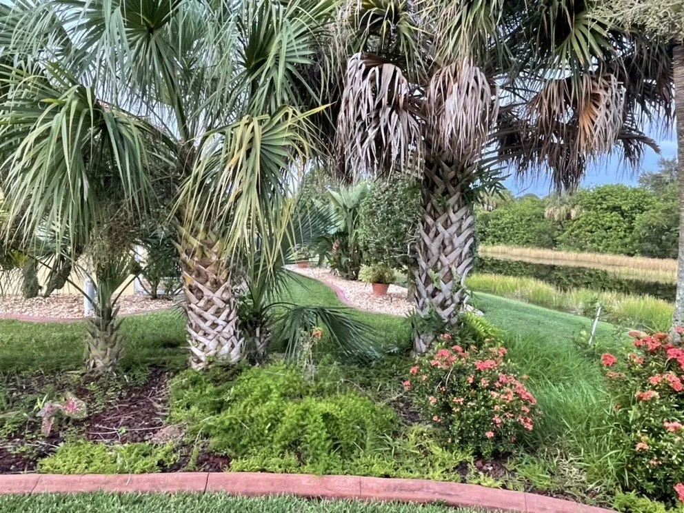 Custom landscape installation for beautiful yards in Venice, FL by 941 Home Services