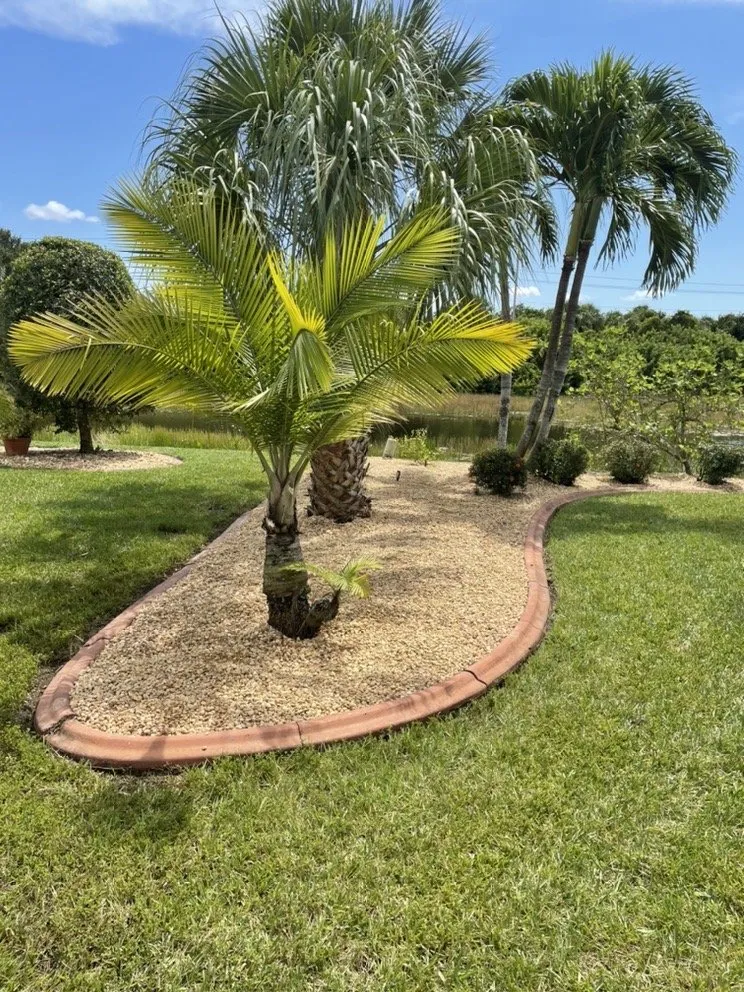 Expert landscaping services experts serving Venice, FL - 941 Home Services