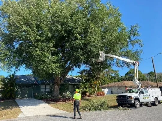 Local garden landscaping in Venice, FL - 941 Home Services