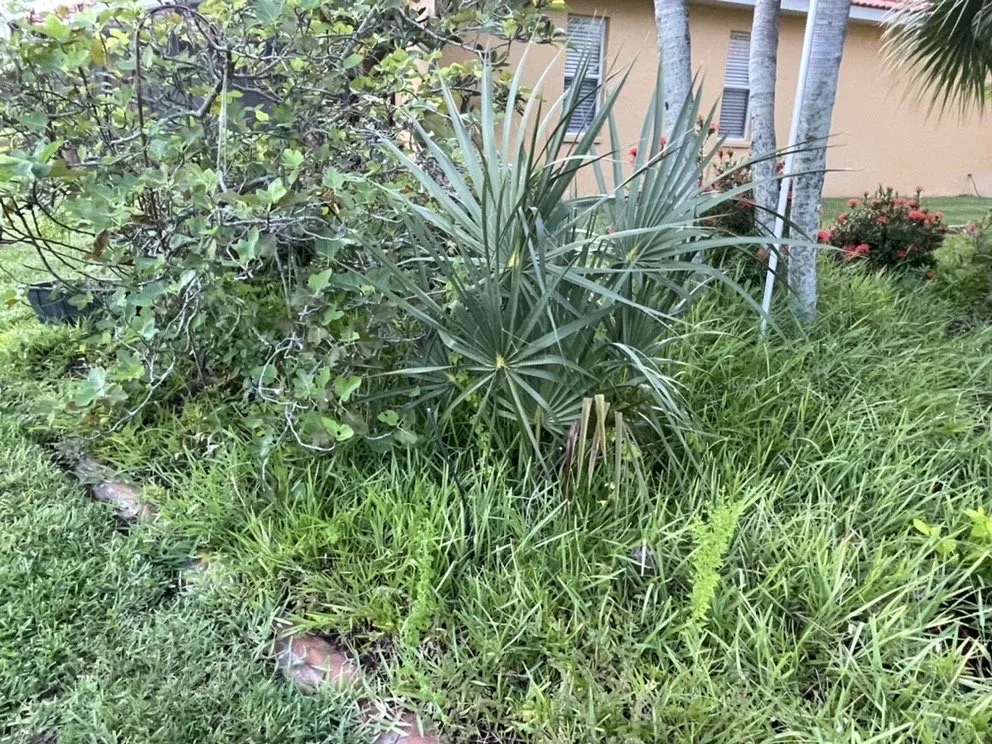 Trusted garden landscaping near you across Venice, FL - 941 Home Services