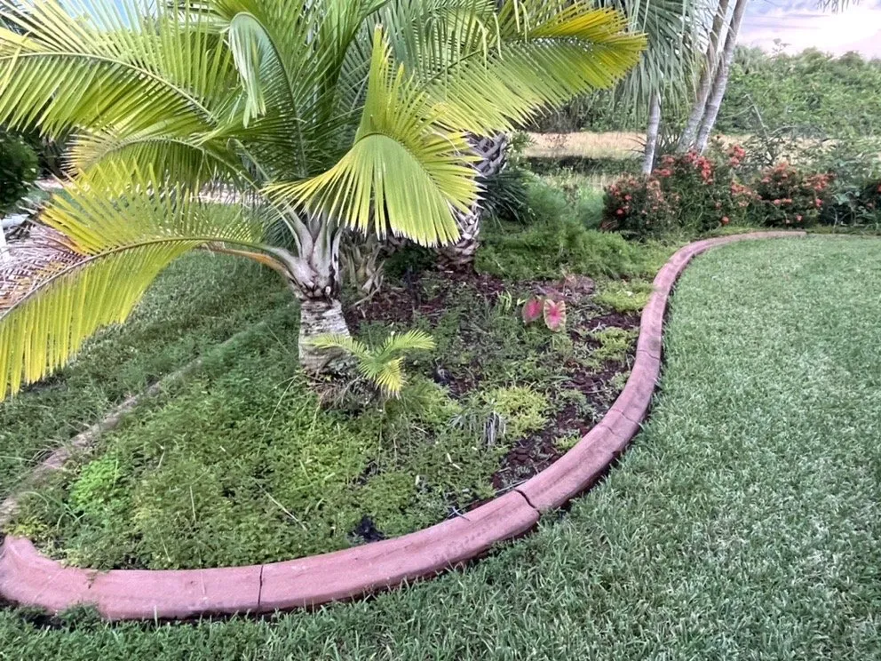 Professional landscape installation in Venice, FL - 941 Home Services
