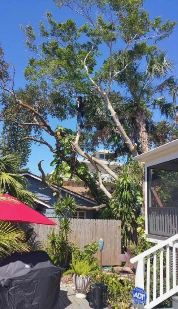 Custom landscape installation experts serving Venice, FL - 941 Home Services