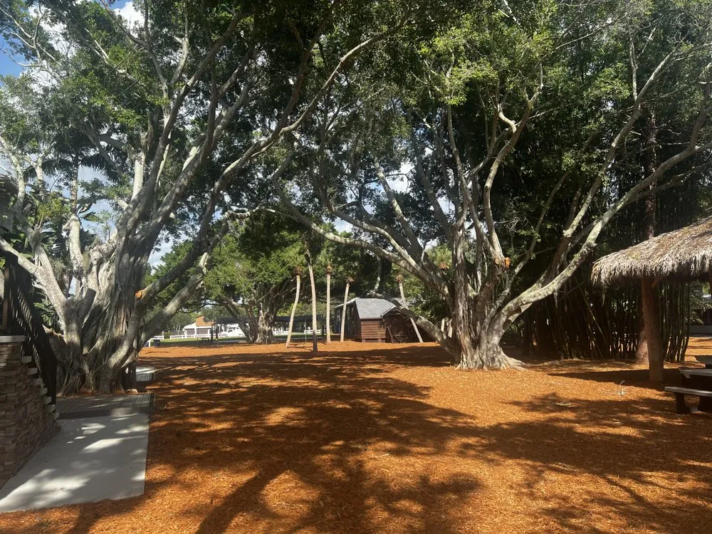 Local yard maintenance in Venice, FL by 941 Home Services