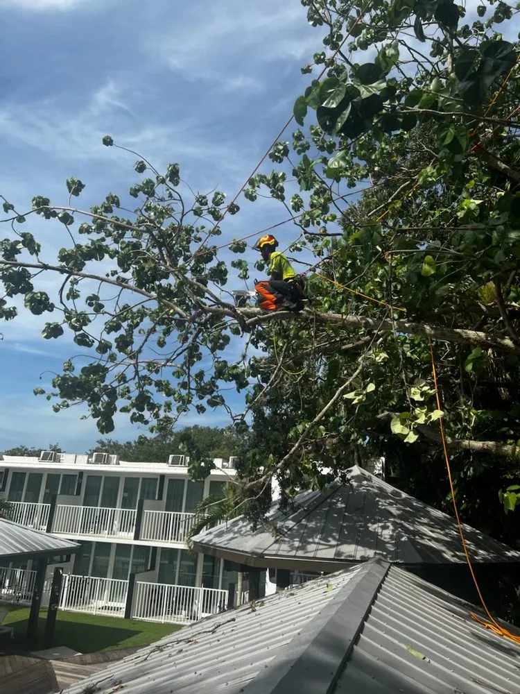 Local landscaping services experts serving Venice, FL - 941 Home Services