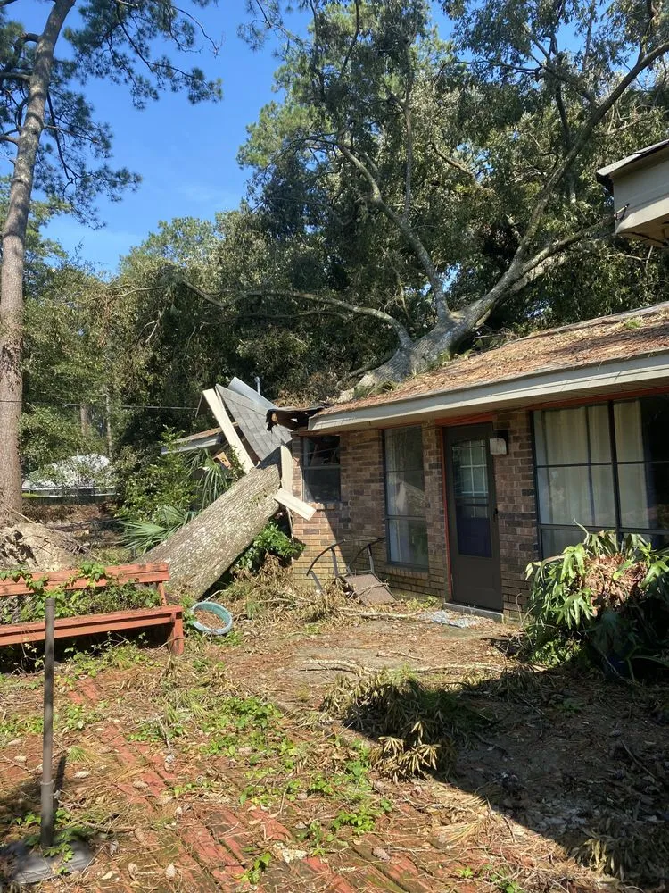 Reliable yard maintenance for homes across Venice, FL - 941 Home Services