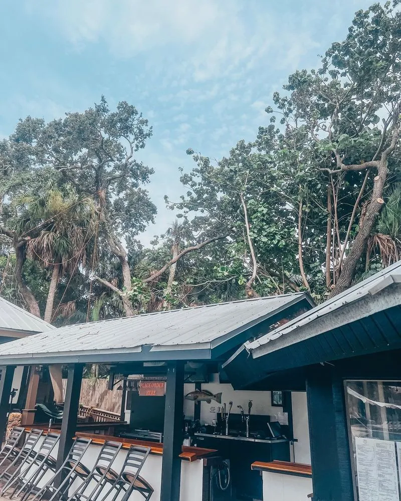 Expert yard cleanup service in Venice, FL - 941 Home Services