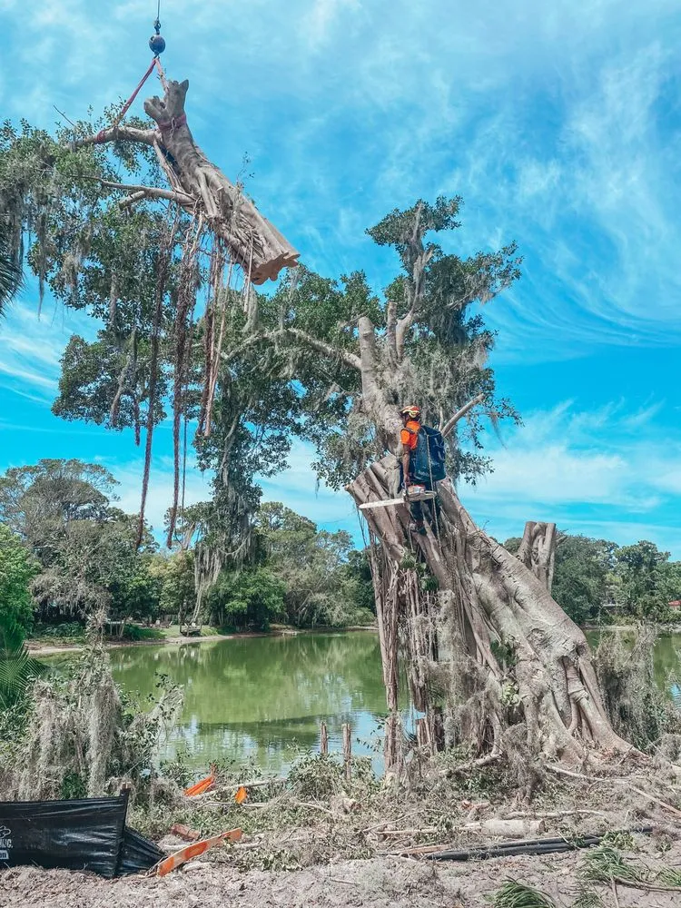 Reliable lawn care service in Venice, FL - 941 Home Services