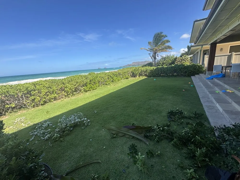 Top-rated yard maintenance experts serving Honolulu, HI - 95 Lawn and House Service
