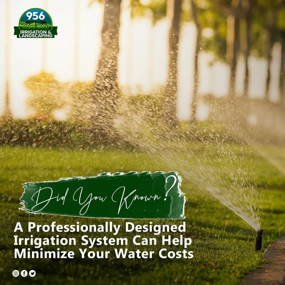 Local landscape installation in Mcallen, TX by 956 Irrigation & Landscaping