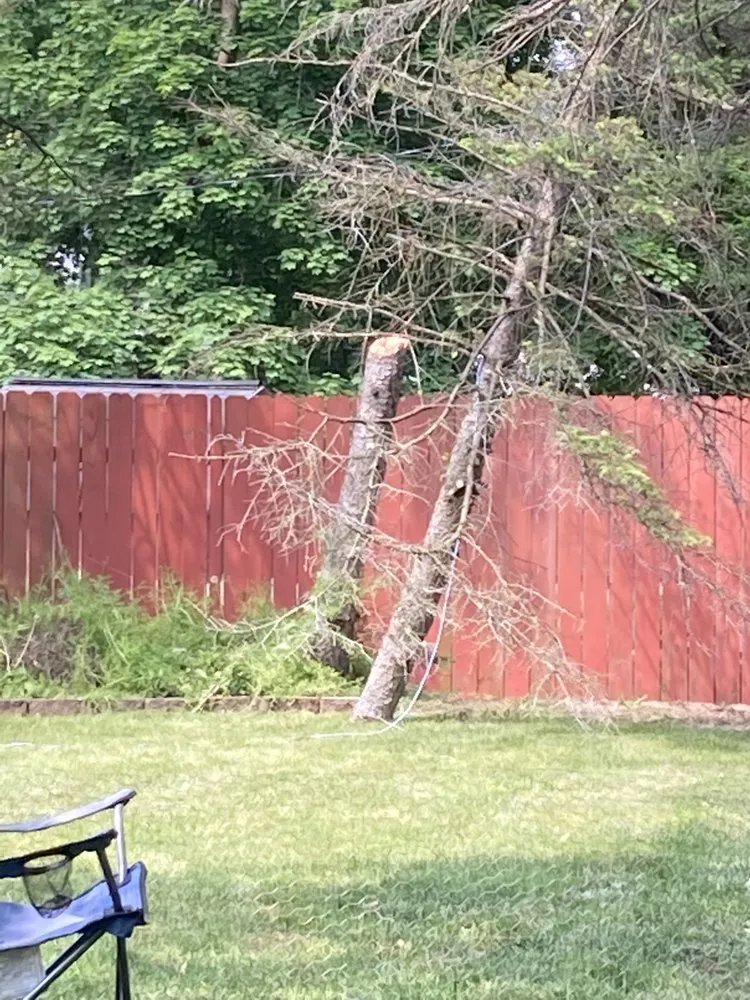 Affordable landscape installation for residential properties in Mount Pleasant, MI by 989 Lawn Care