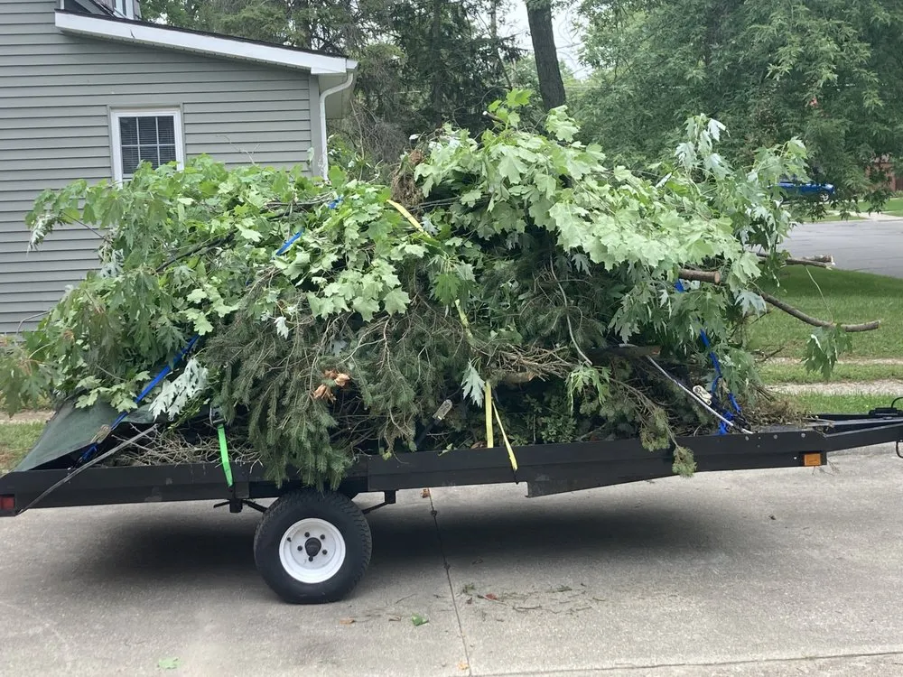 Trusted yard cleanup service for homes across Mount Pleasant, MI - 989 Lawn Care