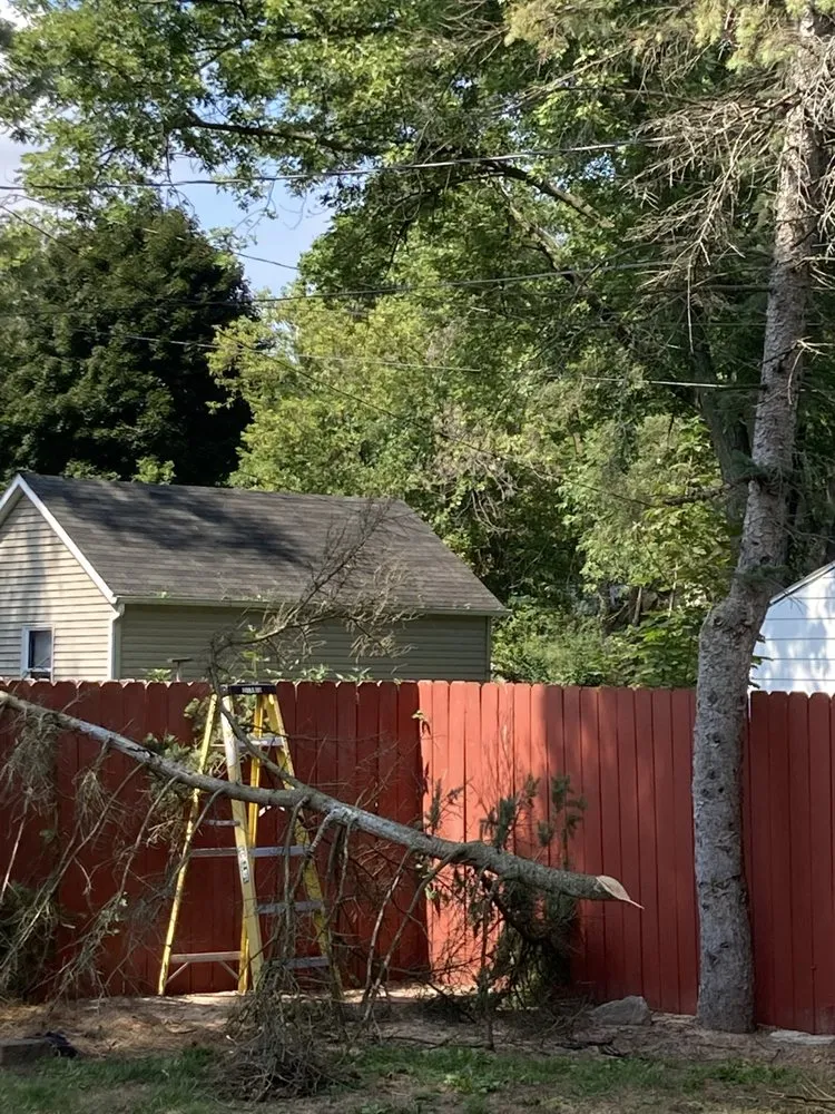 Top-rated landscaping services for year-round maintenance across Mount Pleasant, MI - 989 Lawn Care