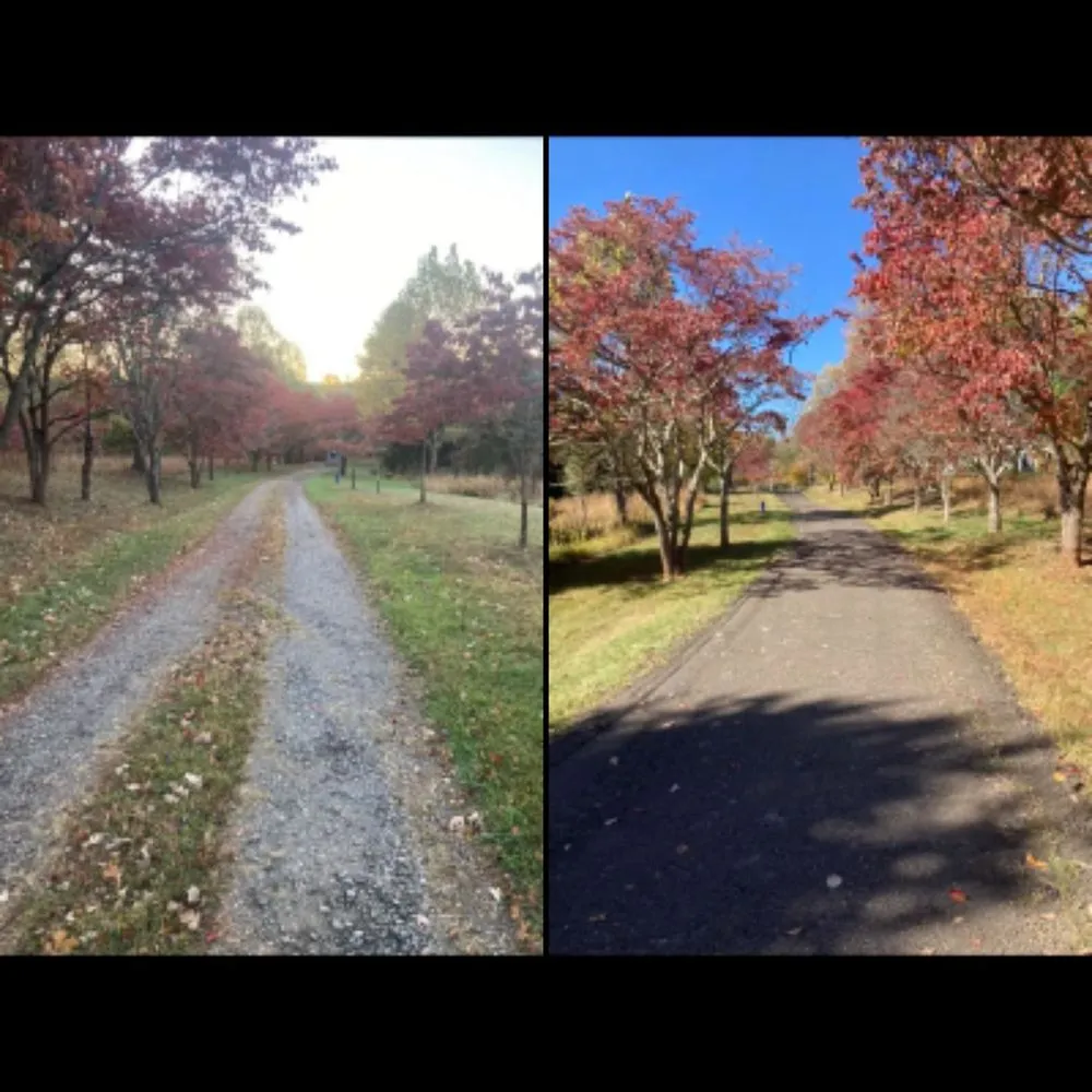 Top-rated lawn mowing service for residential properties in Amissville, VA by 9999 Building and Renovation