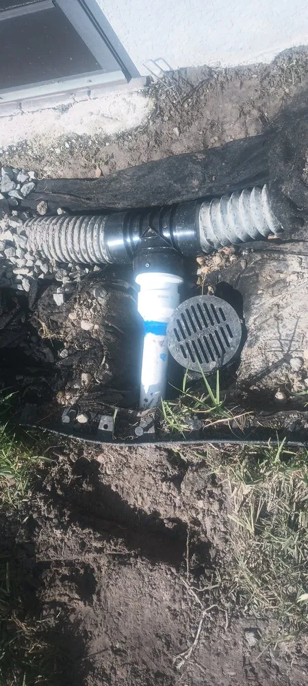 Local landscape design in Bradenton, FL by 9B Organics & Irrigation