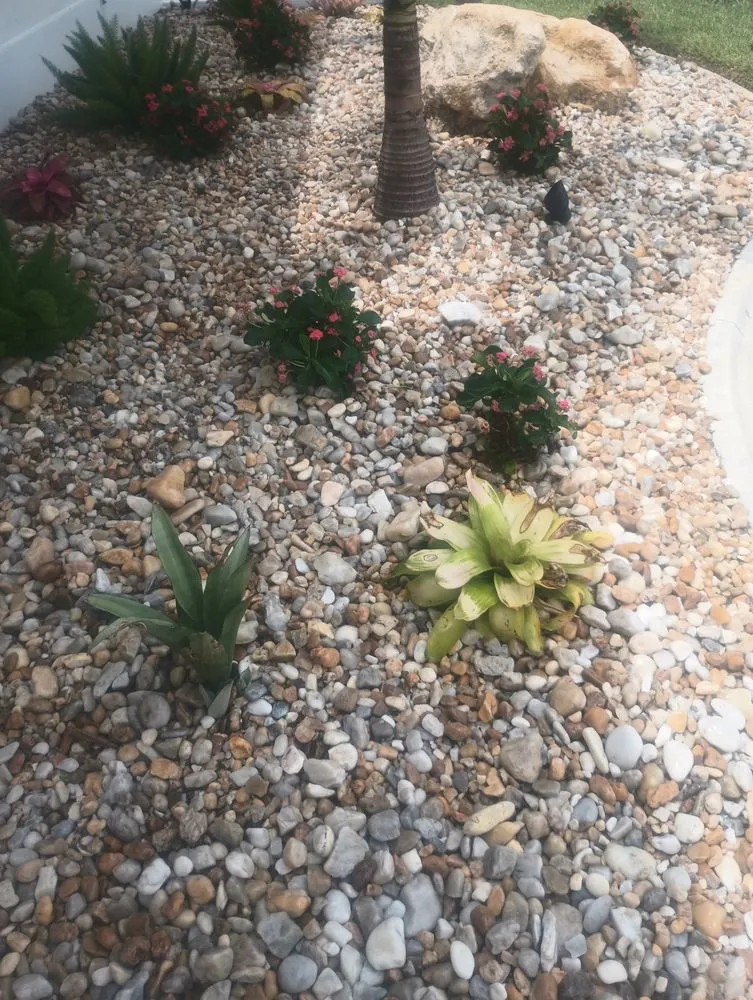 Reliable lawn care service for outdoor upgrades across Bradenton, FL - 9B Organics & Irrigation