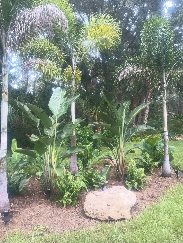 Reliable yard maintenance near you across Bradenton, FL - 9B Organics & Irrigation