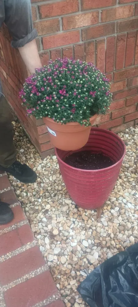 Affordable landscape design for homes across Bradenton, FL - 9B Organics & Irrigation