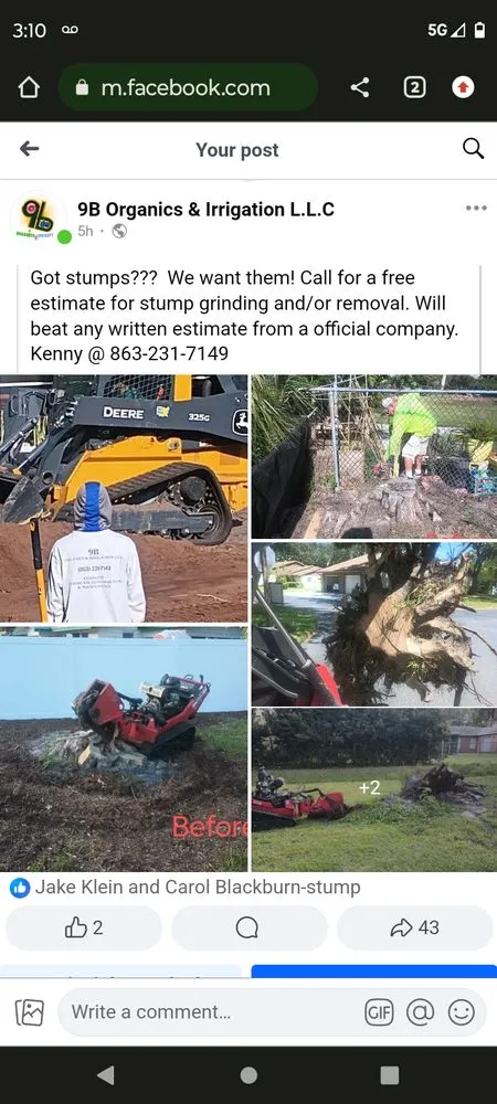 Custom landscape installation in Bradenton, FL - 9B Organics & Irrigation