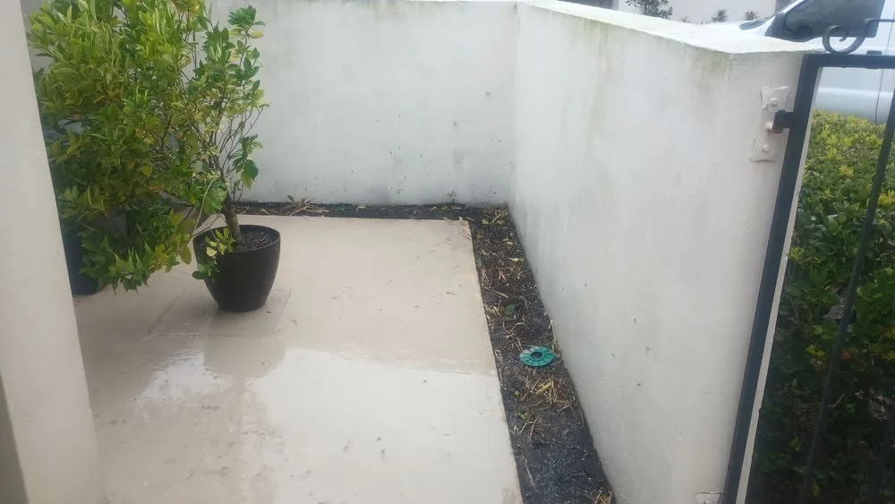 Expert yard cleanup service for beautiful yards across Bradenton, FL - 9B Organics & Irrigation