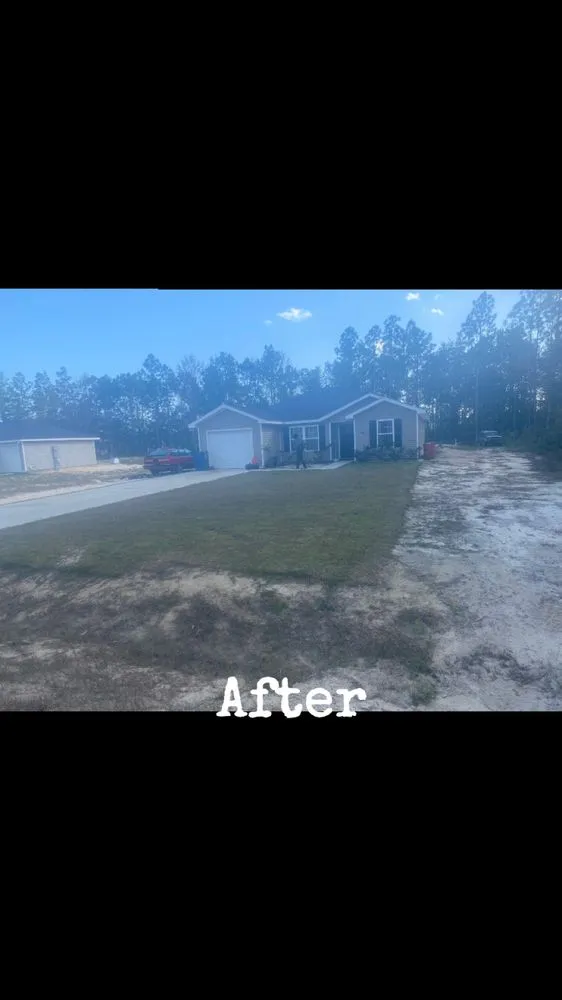 Trusted yard cleanup service in Jesup, GA by 9KServices
