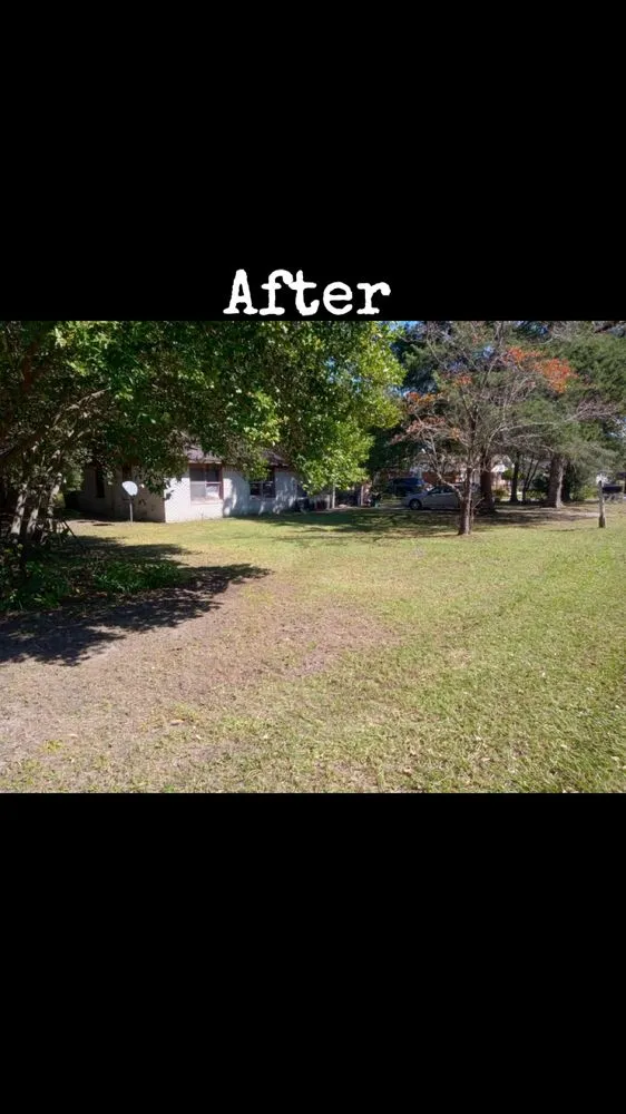 Affordable lawn mowing service in Jesup, GA by 9KServices