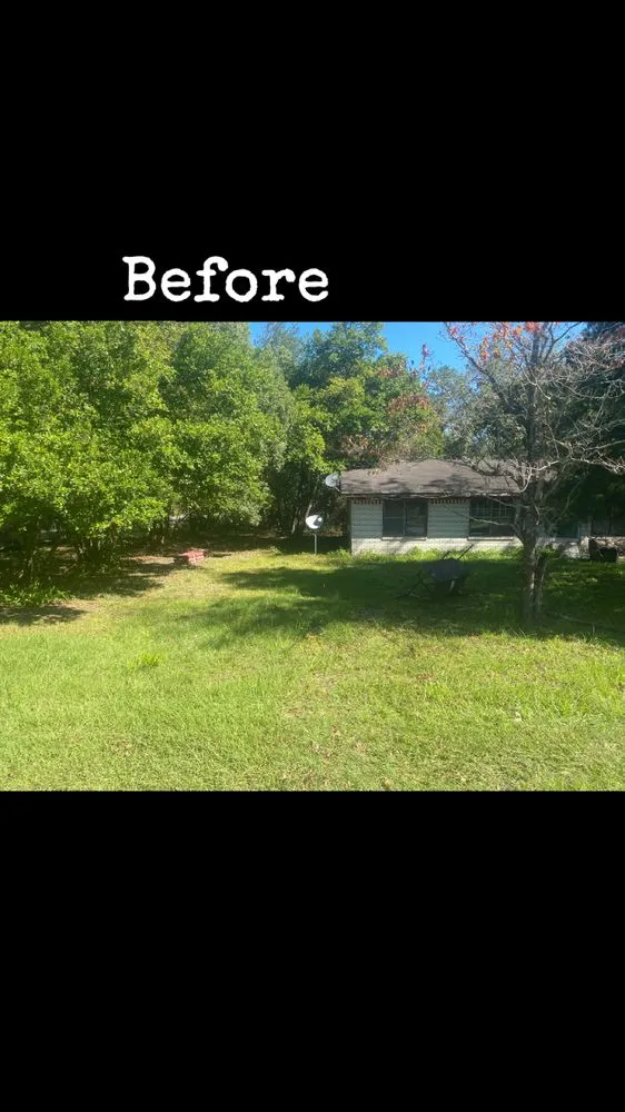 Professional landscaping services in Jesup, GA by 9KServices