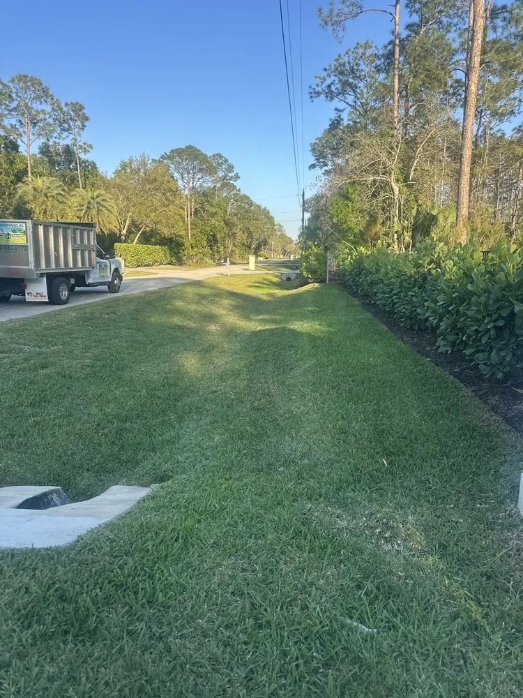 Local yard cleanup service in Naples, FL - A -1landscaping Svs