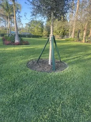 A -1landscaping Svs Logo