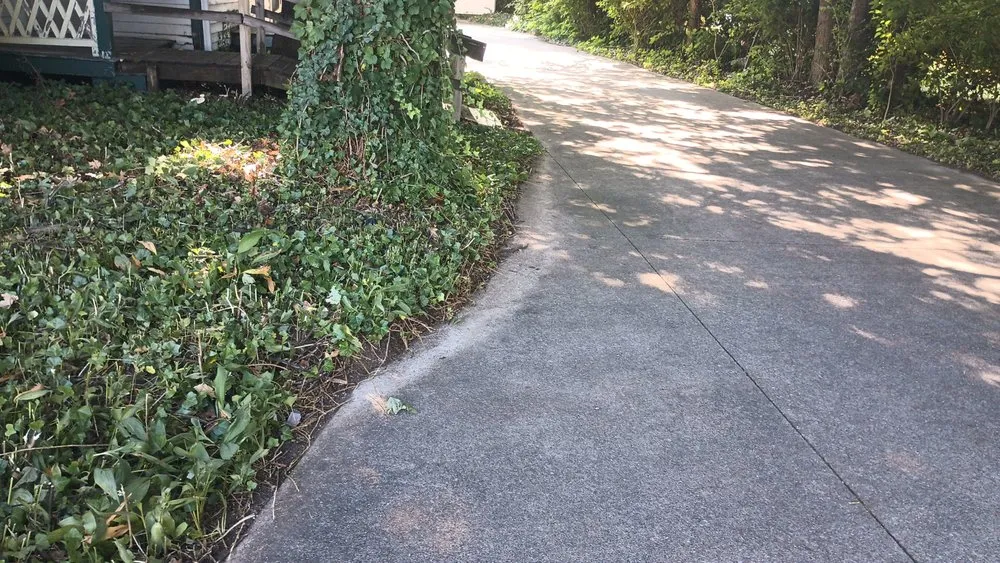 Reliable yard cleanup service for homes across South Bend, IN - A & A Do All