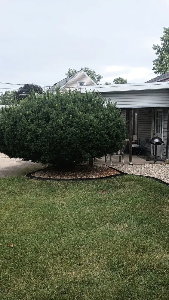 Top-rated yard cleanup service experts serving South Bend, IN - A & A Do All