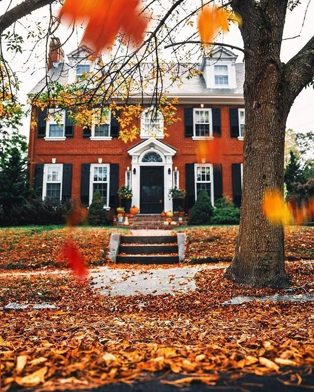 Custom yard maintenance experts serving Upper Marlboro, MD - A & A Landscaping and Property Maintenance