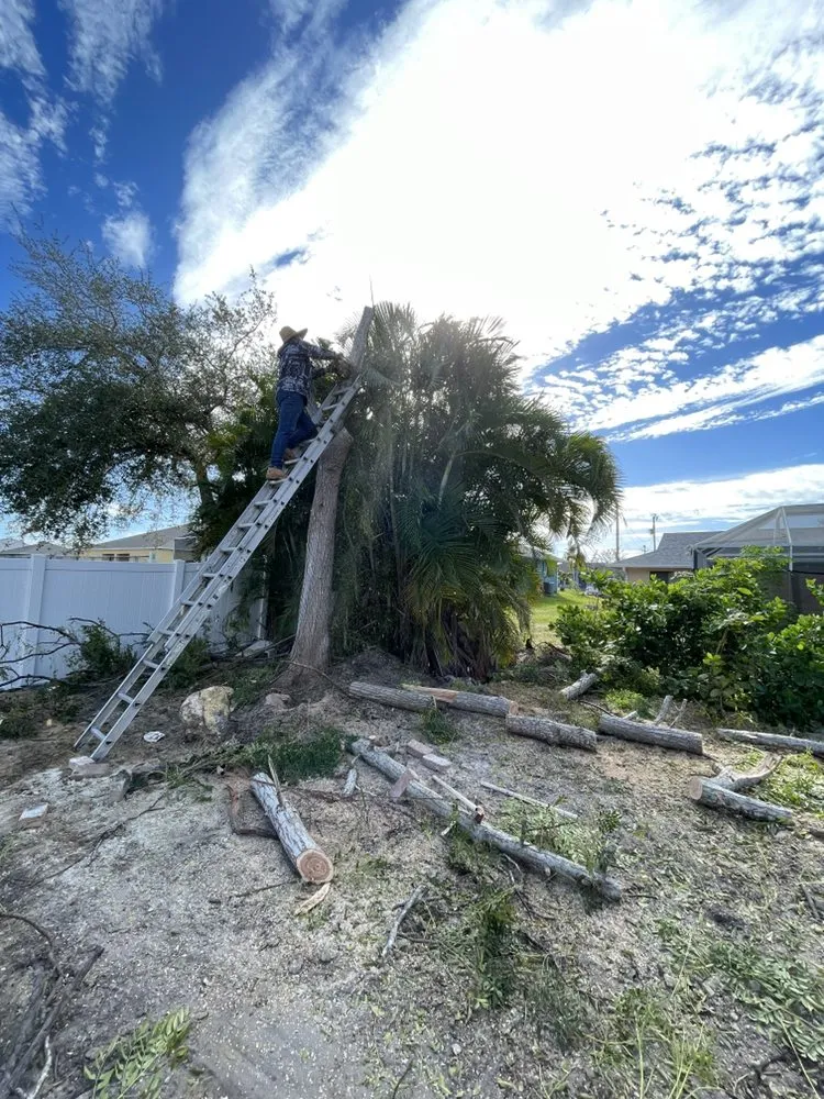 Expert landscape design in Fort Myers, FL by A & A Landscaping