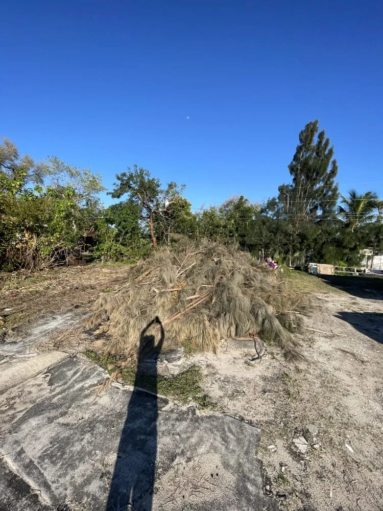 Reliable lawn care service in Fort Myers, FL - A & A Landscaping