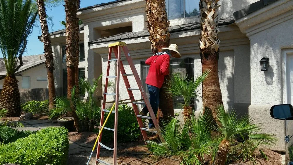 Local lawn mowing service in Las Vegas, NV by A & A Landscaping