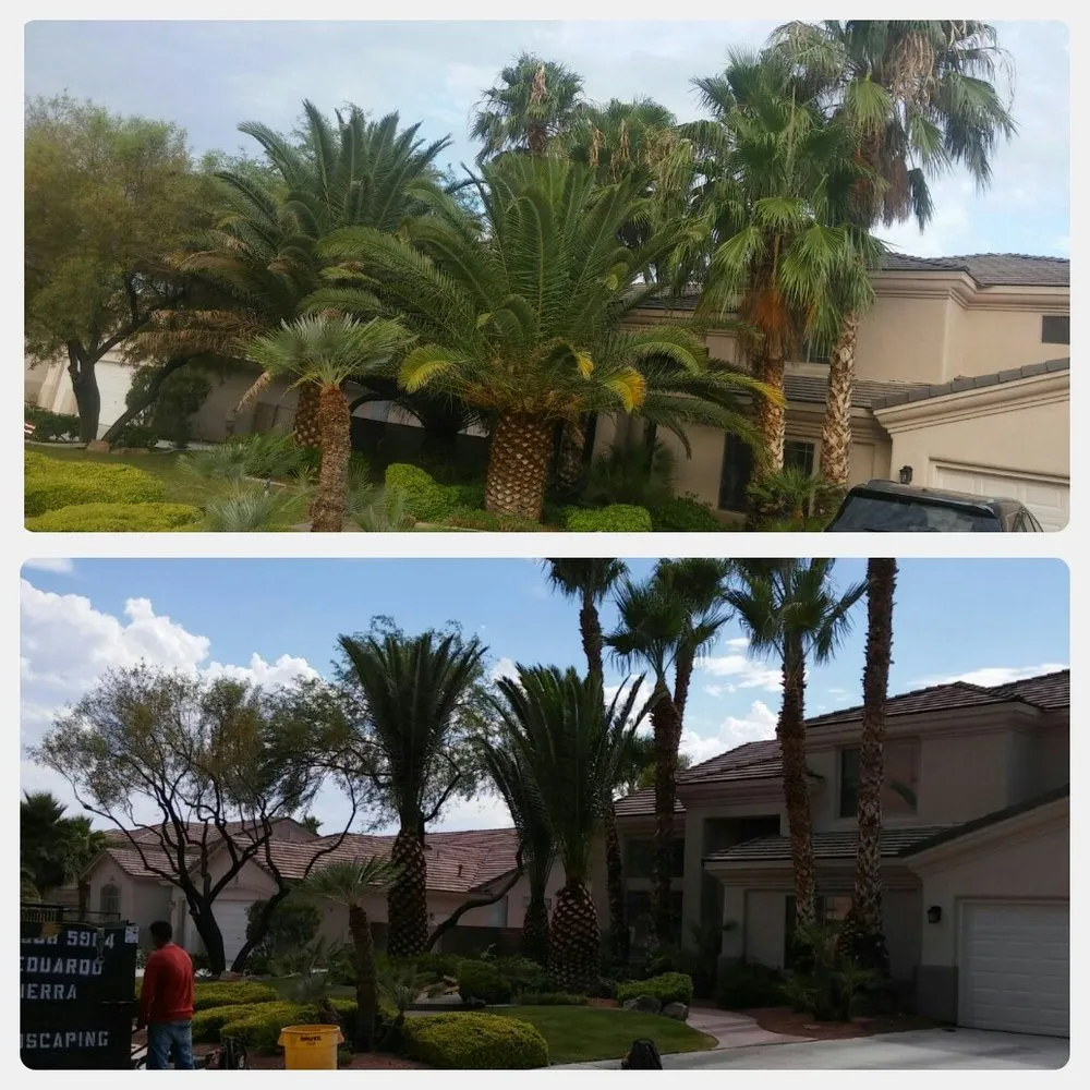 Local garden landscaping experts serving Las Vegas, NV - A & A Landscaping