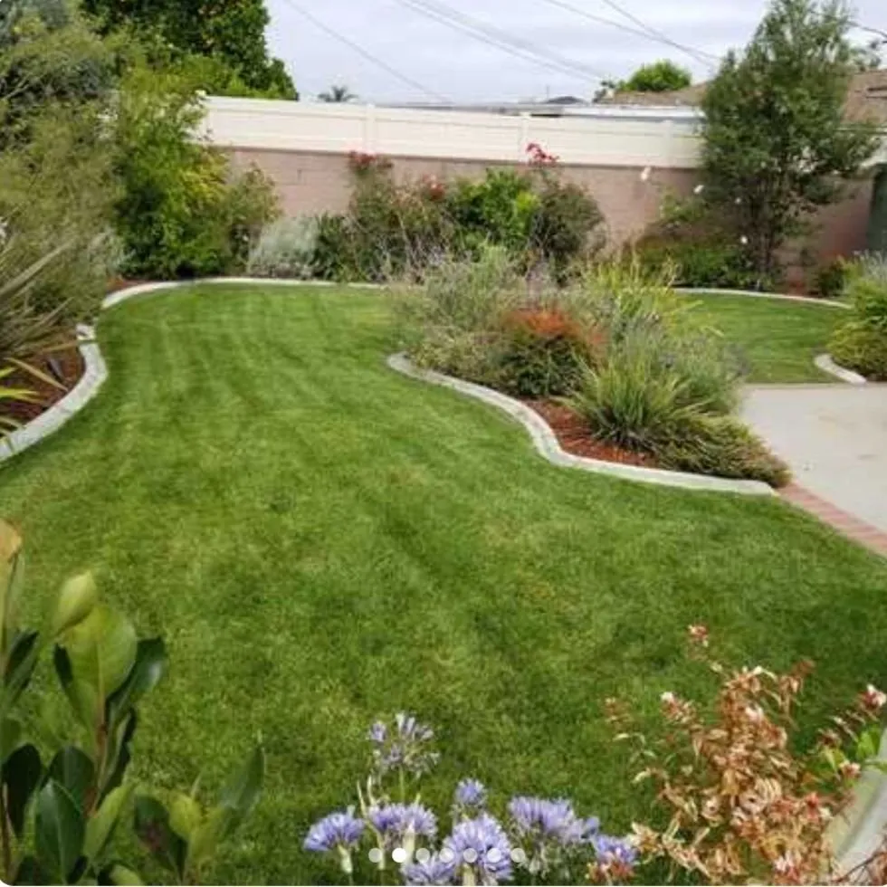 Professional landscape installation for beautiful yards in Redondo Beach, CA by A & A Landscaping Services