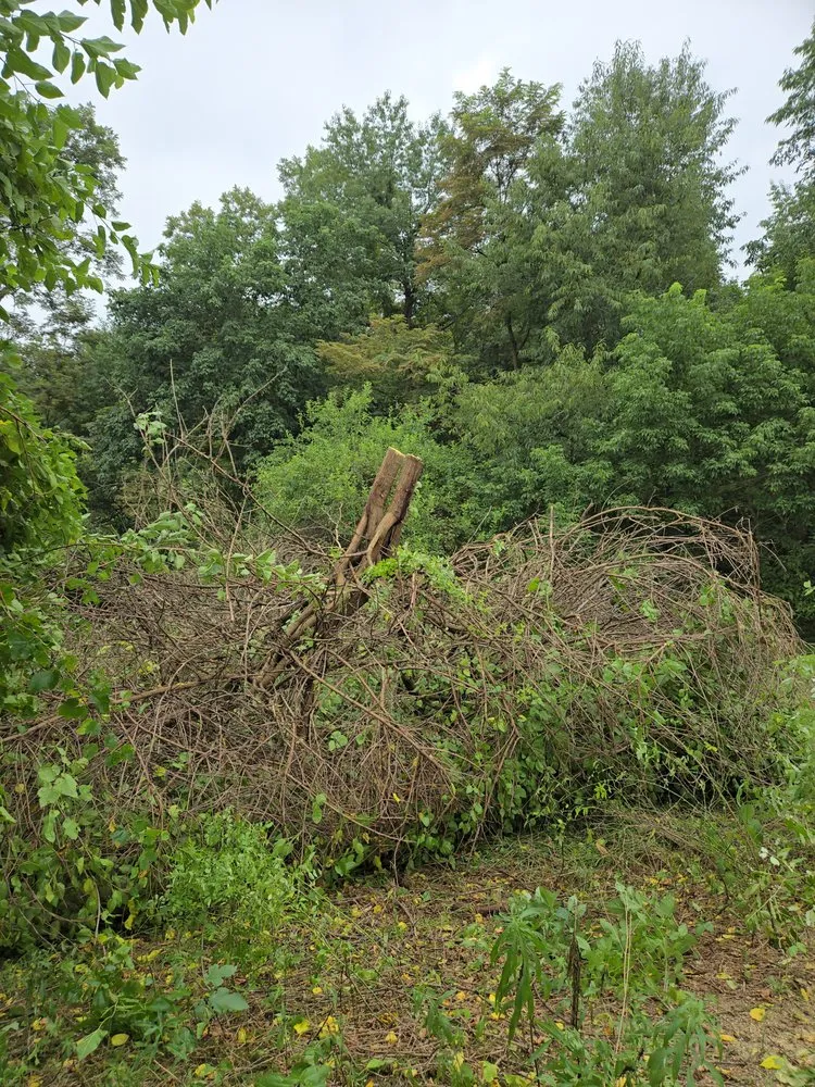 Top-rated outdoor landscaping in Toronto, OH by A & A Lawn and Arbor