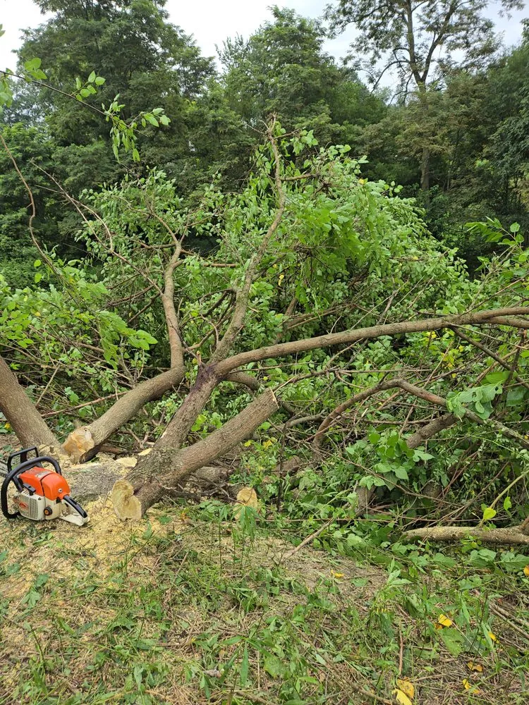 Trusted outdoor landscaping experts serving Toronto, OH - A & A Lawn and Arbor