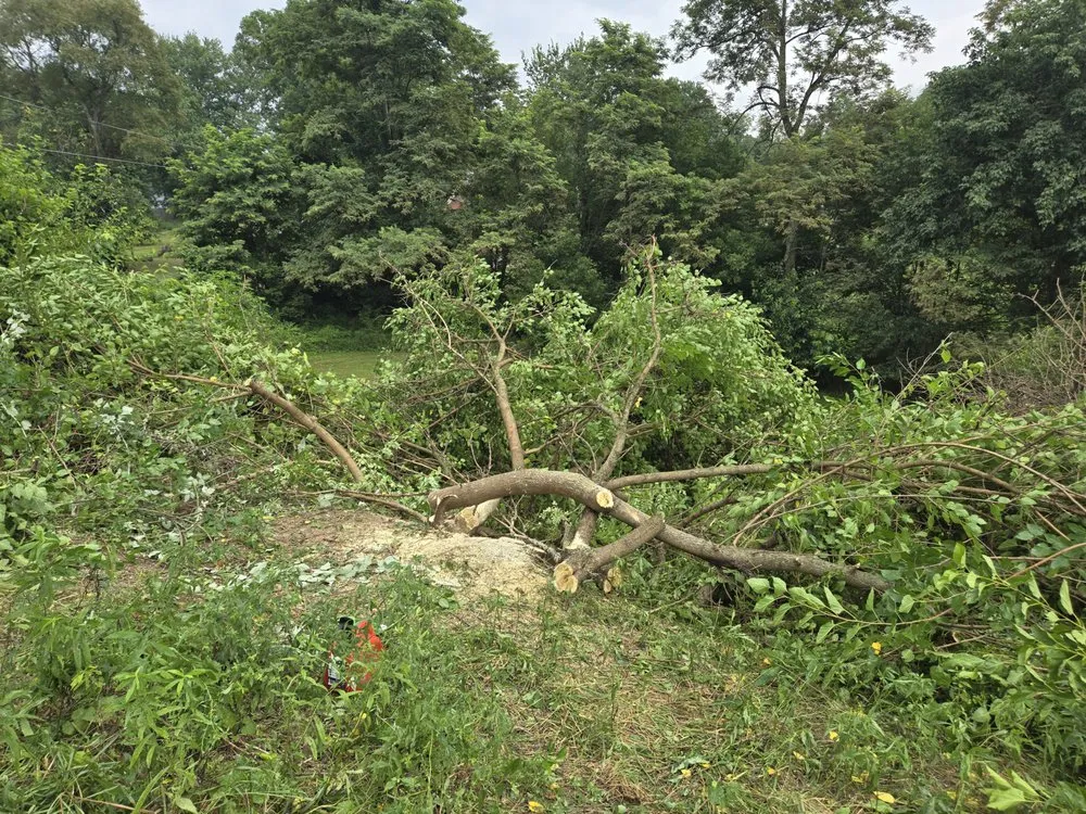 Affordable lawn care service for year-round maintenance across Toronto, OH - A & A Lawn and Arbor