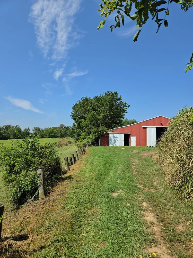 Reliable landscaping services for homes in Toronto, OH by A & A Lawn and Arbor