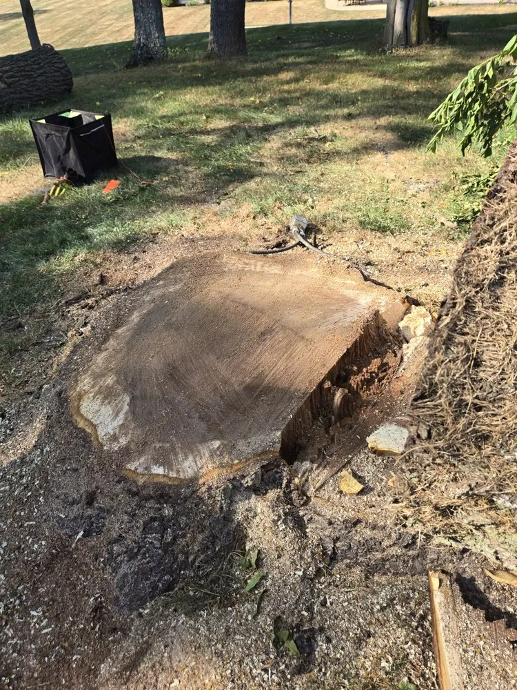 Reliable outdoor landscaping for beautiful yards in Toronto, OH by A & A Lawn and Arbor