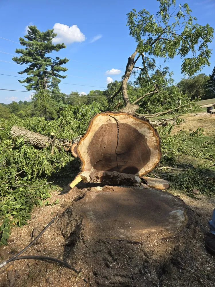 Professional landscape design experts serving Toronto, OH - A & A Lawn and Arbor