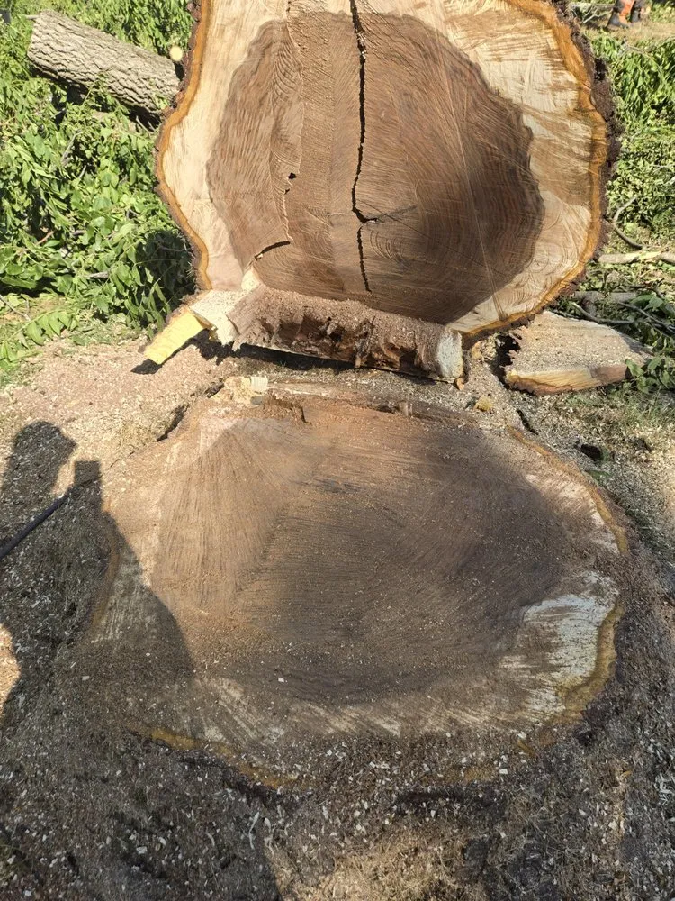 Professional landscape installation experts serving Toronto, OH - A & A Lawn and Arbor