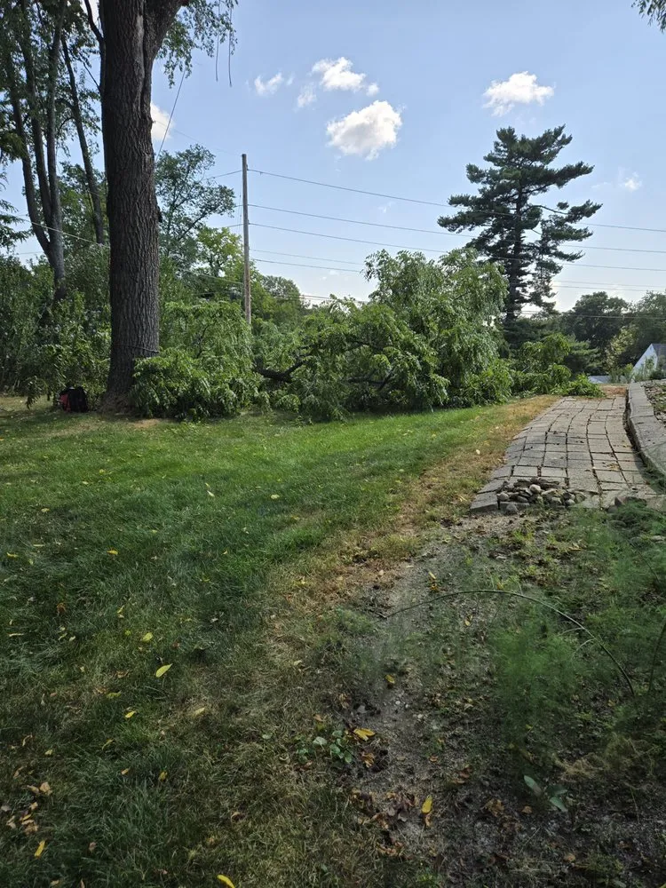 Professional landscaping services in Toronto, OH - A & A Lawn and Arbor