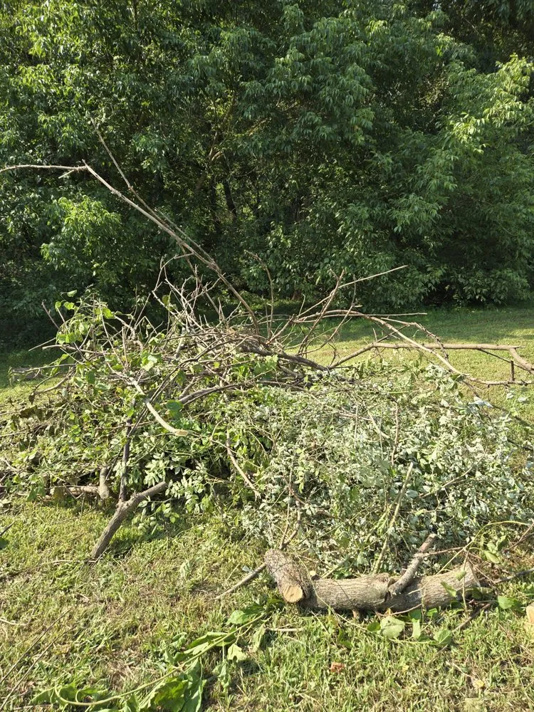 Top-rated landscaping services with custom design in Toronto, OH by A & A Lawn and Arbor