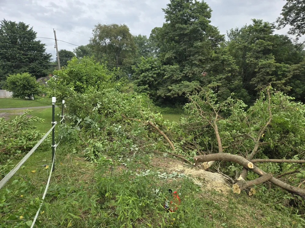 Professional lawn care service for residential properties in Toronto, OH by A & A Lawn and Arbor