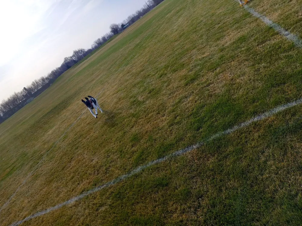 Local lawn care service for homes in Emmett, ID by A & A Lawn Care