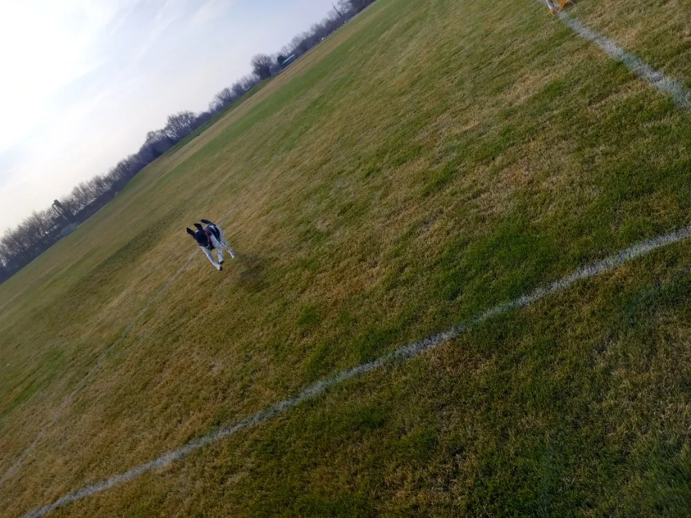 Professional residential landscaping for outdoor upgrades in Emmett, ID by A & A Lawn Care